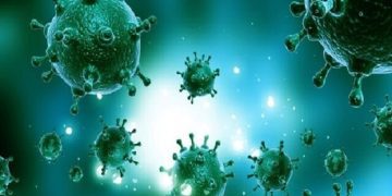 آنفولانزا در مشهد