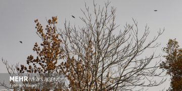 هوای مشهد قابل قبول است