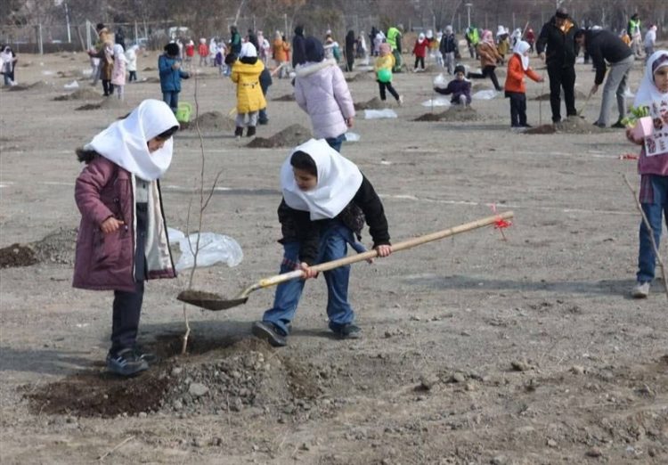 توسعه ۱۲۹ هکتار فضای سبز در مشهد