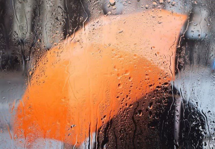 سالم شدن هوای مشهد با بارش باران