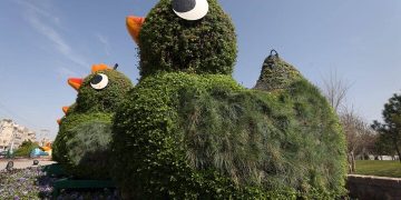 هوای مشهد پاک است