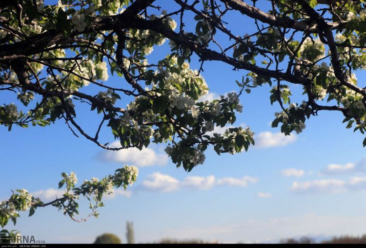 دمای هوای خراسانرضوی ۶ درجه افزایش مییابد