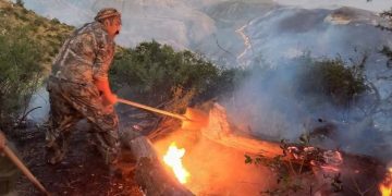 آتش‌سوزی در بخش هایی از پارک ملی تندوره درگز