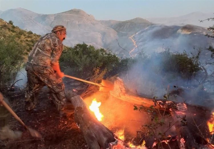 آتشسوزی در بخش هایی از پارک ملی تندوره درگز