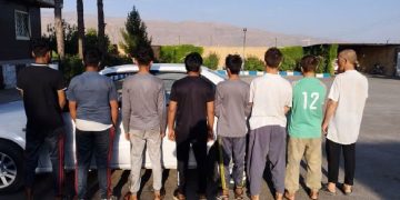 جاسوسان افغانی