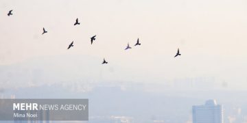 هوای مشهد ناسالم است