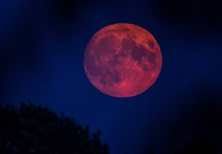 اقامه نماز آیات هم زمان با وقوع پدیده ماه گرفتگی در حرم مطهر رضوی