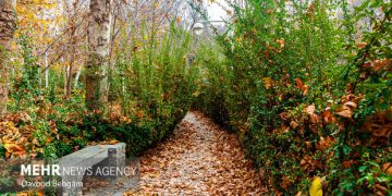 مشهد خنک می‌شود؛ کاهش محسوس دما و وزش باد پاییزی در راه است