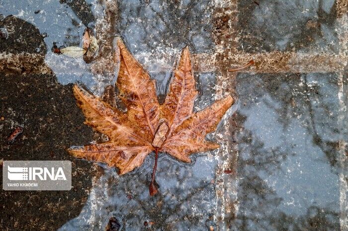 پیشبینی بارش پراکنده برف و باران در خراسان رضوی