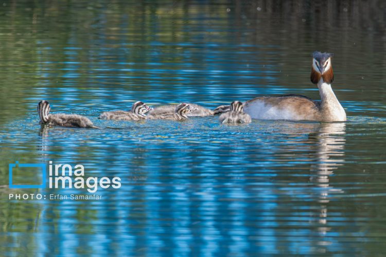 مدیرکل میراث فرهنگی خراسان رضوی: توسعه طبیعت‌گردی با قرقیزستان در دست پیگیری است