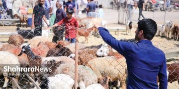 زنگ خطر کمبود لبنیات و گوشت با شیوع جدی تب‌برفکی در برخی دامداری‌ها به صدا درآمد