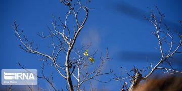 وضعیت جوی خراسان رضوی پایدار شد/ آغاز روند افزایشی دما