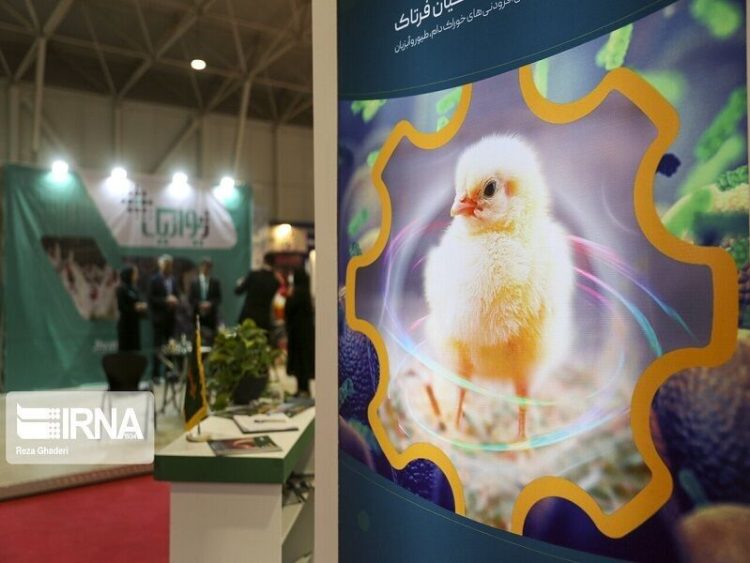 نمایشگاه دام و طیور مشهد با هدف پیشگیری از شیوه تب برفکی لغو شد