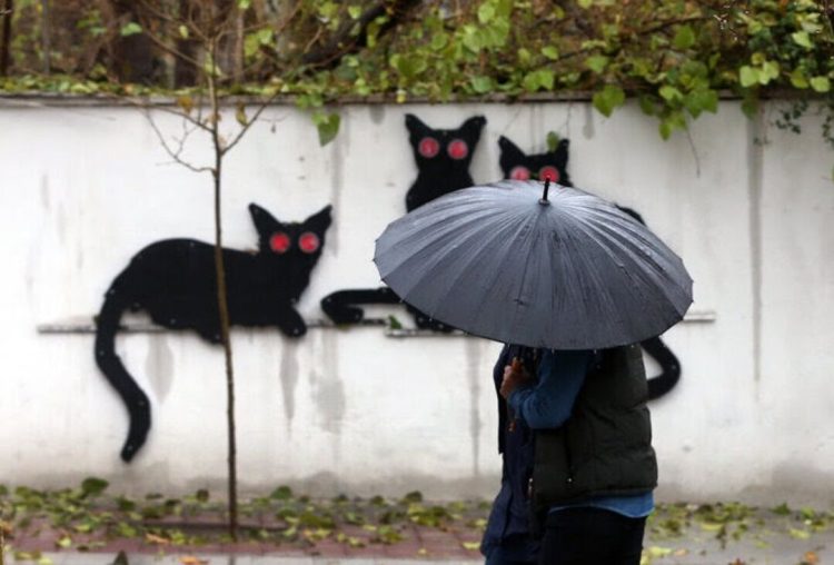 مشهد نفس تازه کرد؛ شاخص لحظهای کیفیت هوا در این کلانشهر «پاک» شد