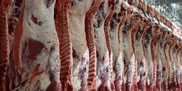 تنظیم بازار گوشت در مشهد زیر ذره‌بین دستگاه‌های نظارتی