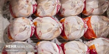 حیدری: قیمت فعلی مرغ در مشهد پایین‌تر از نرخ مصوب است