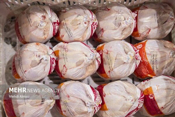 حیدری: قیمت فعلی مرغ در مشهد پایینتر از نرخ مصوب است