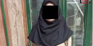 زن مشهدی از شرکت برق دزدی کرد